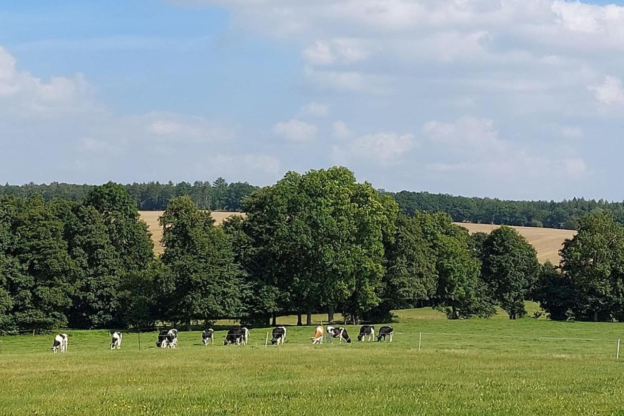 Stilvolle Ferienwohnung Im Eichsfeld Niederorschel Exteriér fotografie