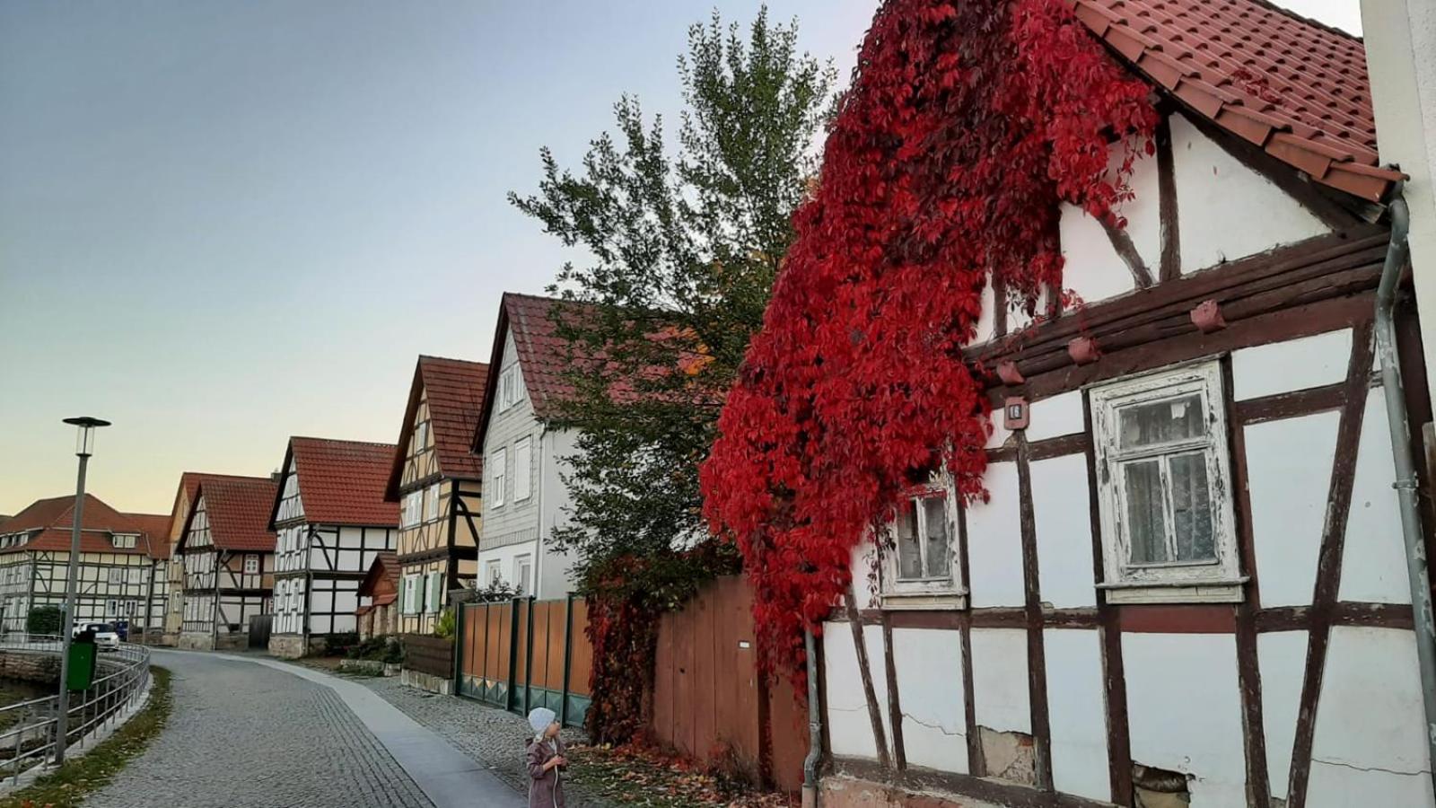Stilvolle Ferienwohnung Im Eichsfeld Niederorschel Exteriér fotografie