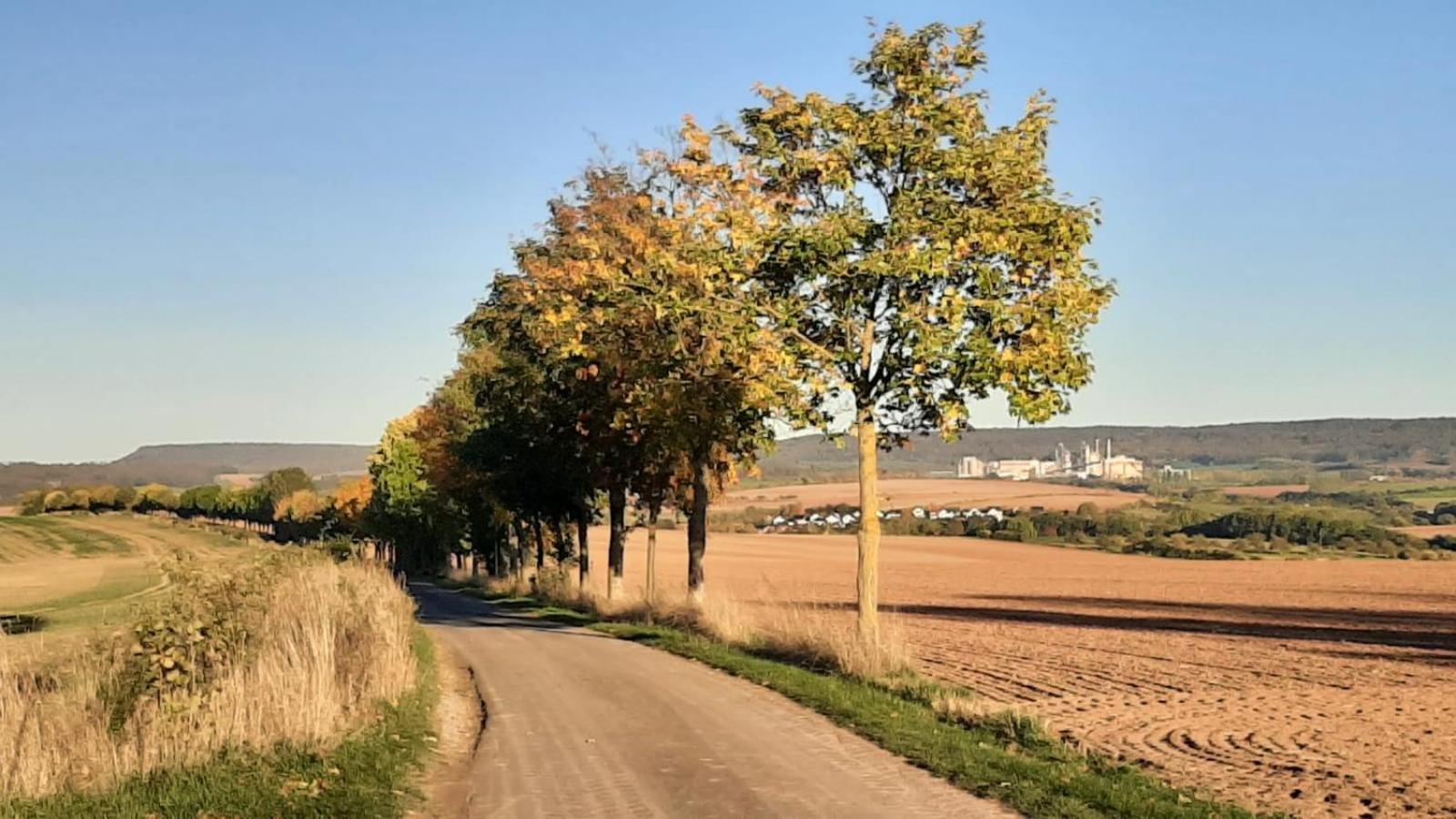 Stilvolle Ferienwohnung Im Eichsfeld Niederorschel Exteriér fotografie