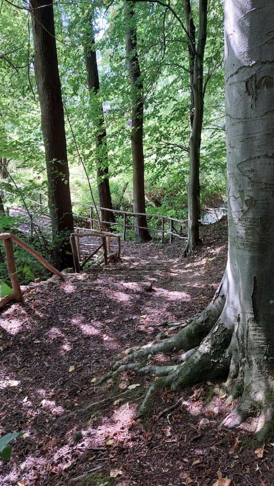 Stilvolle Ferienwohnung Im Eichsfeld Niederorschel Exteriér fotografie